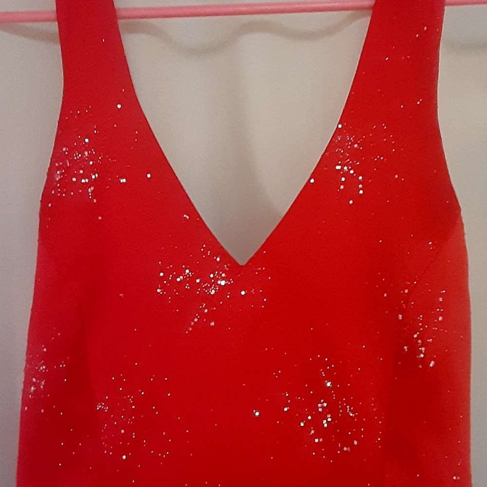 Lady's Evening Gown